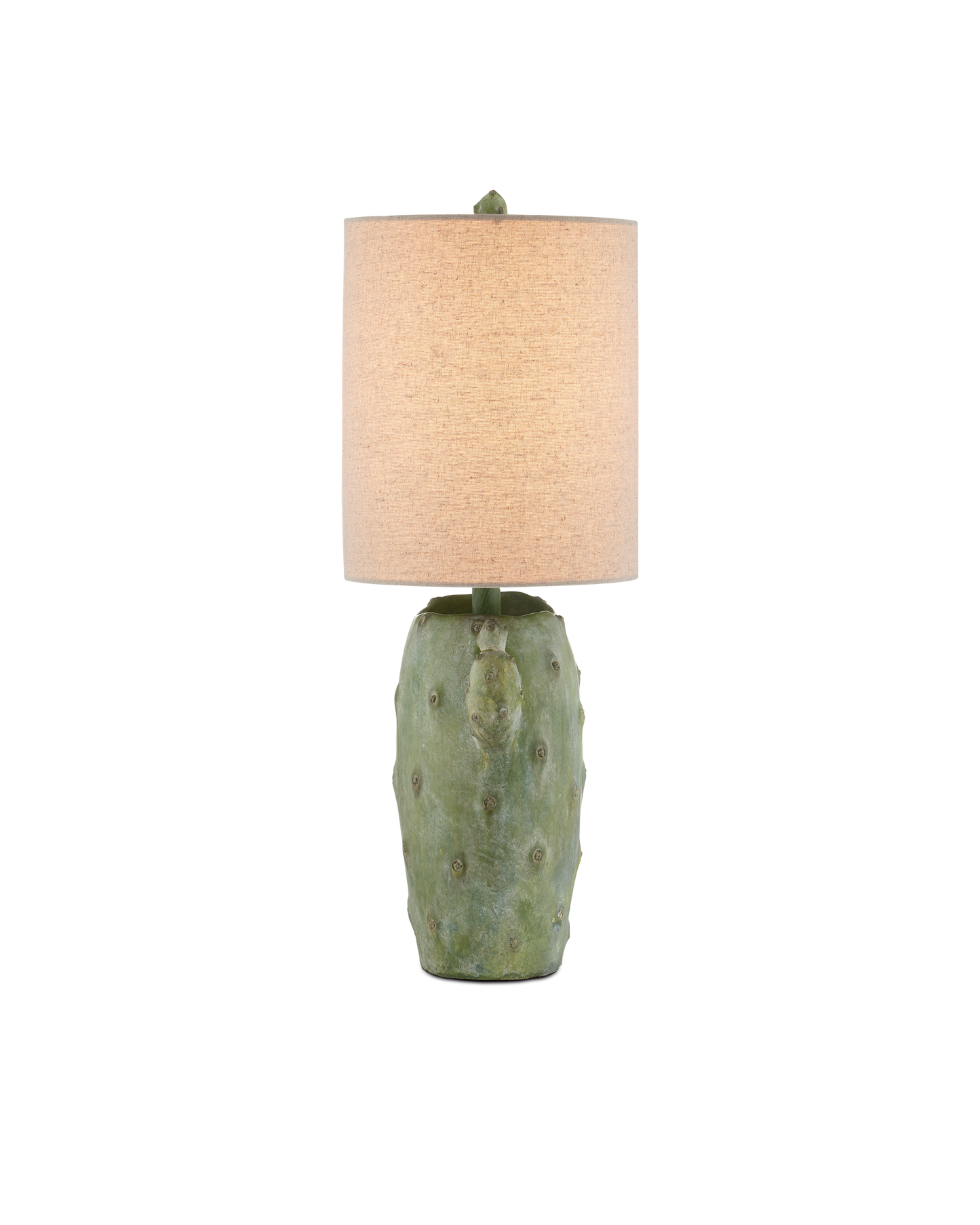 Currey & Co. Cactus Table Lamp 6000-0929