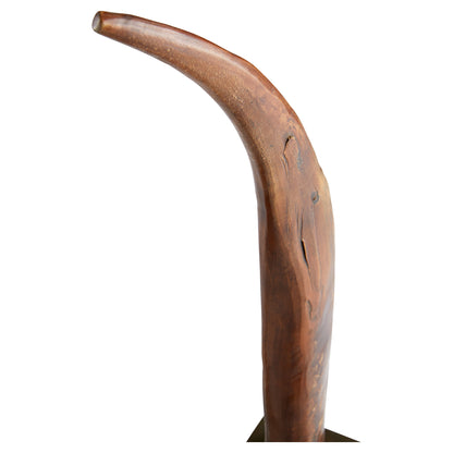 Cyan Design Eastern Claw Sculpture in Brown And Bronze 11150