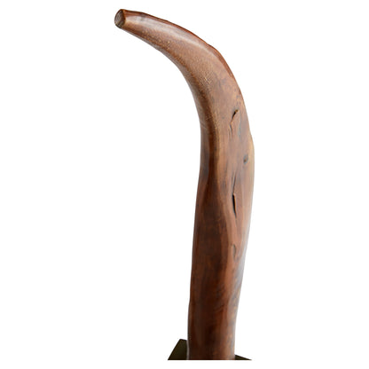 Cyan Design Eastern Claw Sculpture in Brown And Bronze 11150