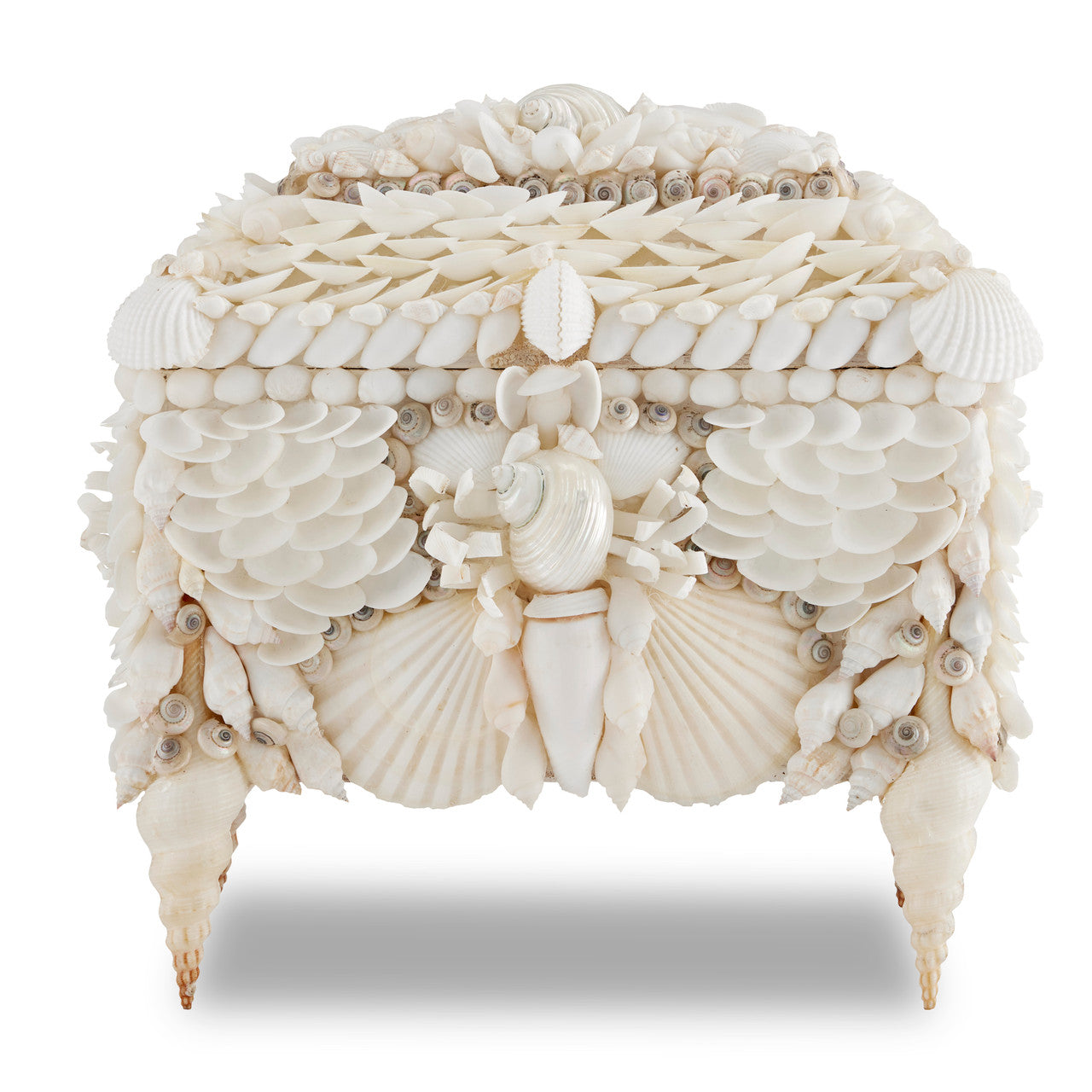 Currey & Co. Boardwalk White Shell Jewelry Box 1200-0612