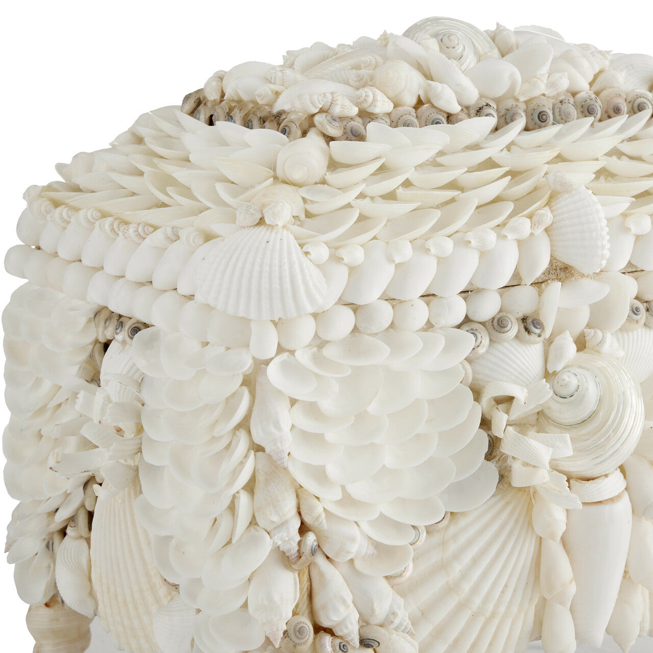 Currey & Co. Boardwalk White Shell Jewelry Box 1200-0612