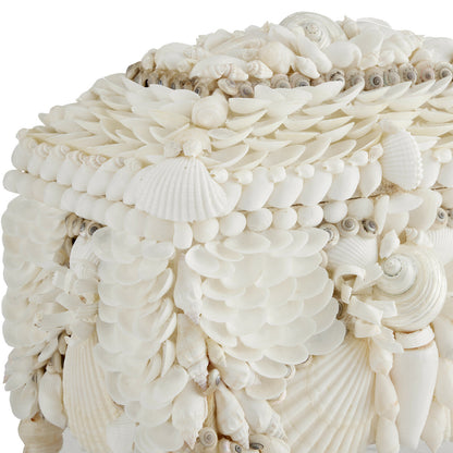 Currey & Co. Boardwalk White Shell Jewelry Box 1200-0612