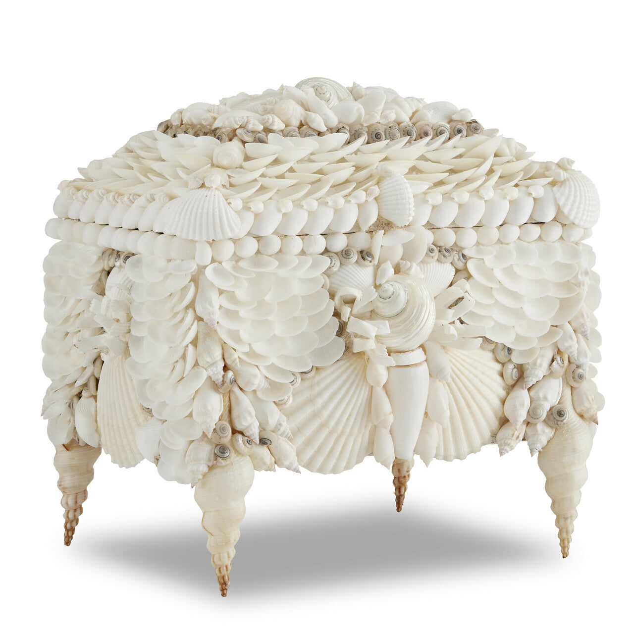 Currey & Co. Boardwalk White Shell Jewelry Box 1200-0612