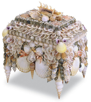 Currey & Co. Boardwalk Natural Shell Jewelry Box 1251