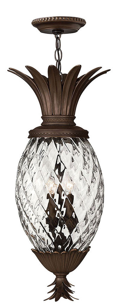 Hinkley Lighting Plantation Medium Hanging Lantern Copper Bronze 2222CB