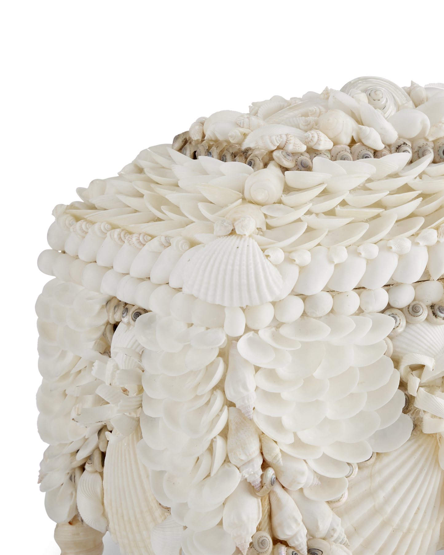 Currey & Co. Boardwalk White Shell Jewelry Box 1200-0612