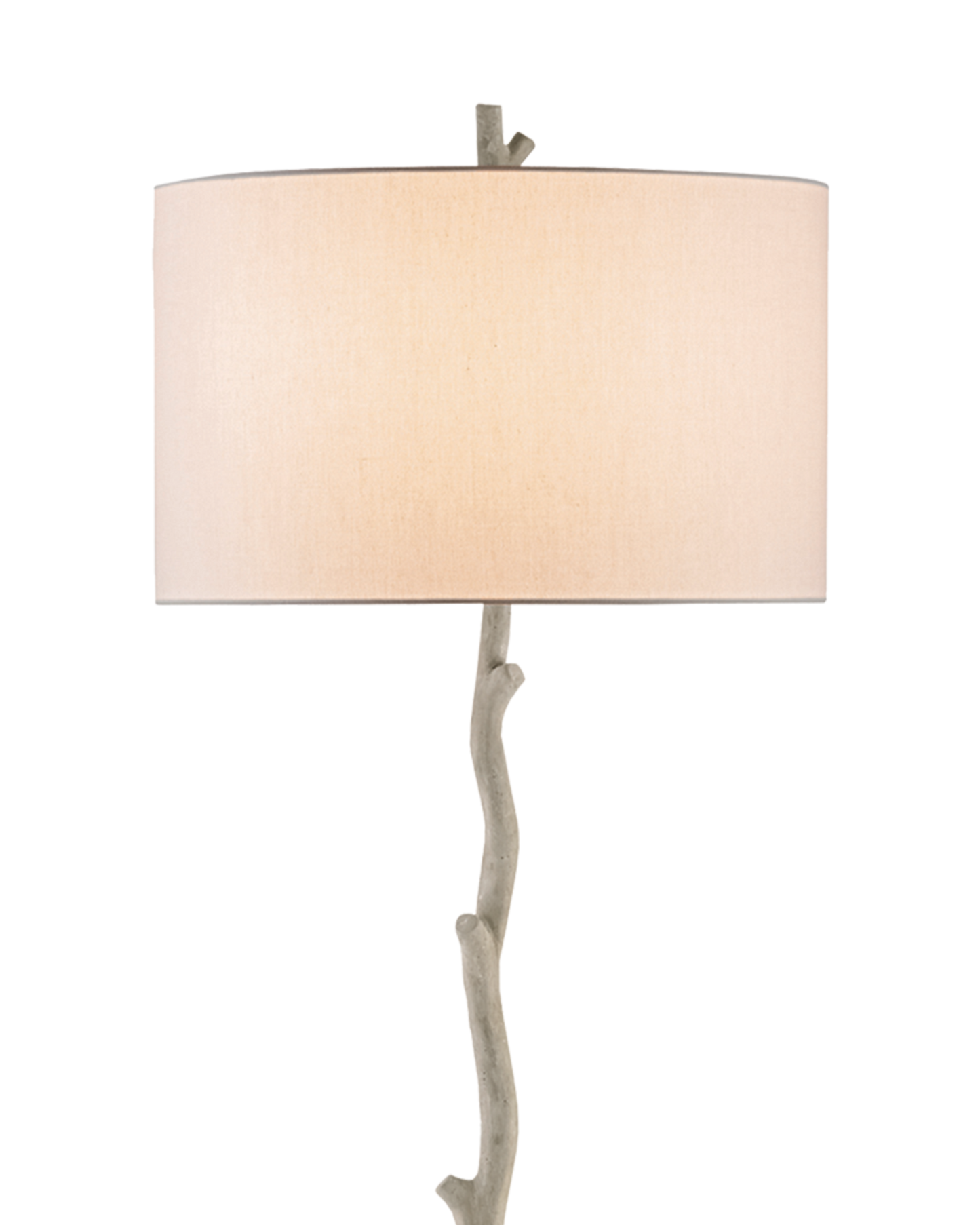 Currey & Co. Beaujon Gray Floor Lamp 8064