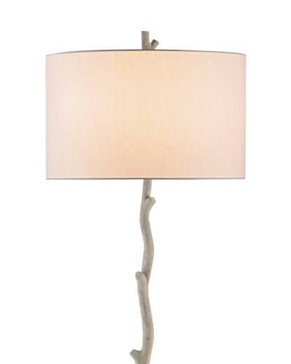 Currey & Co. Beaujon Gray Floor Lamp 8064