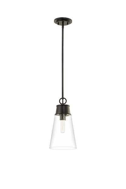 Z-Lite Wentworth 1 Light Pendant in Matte Black 2300P8-MB