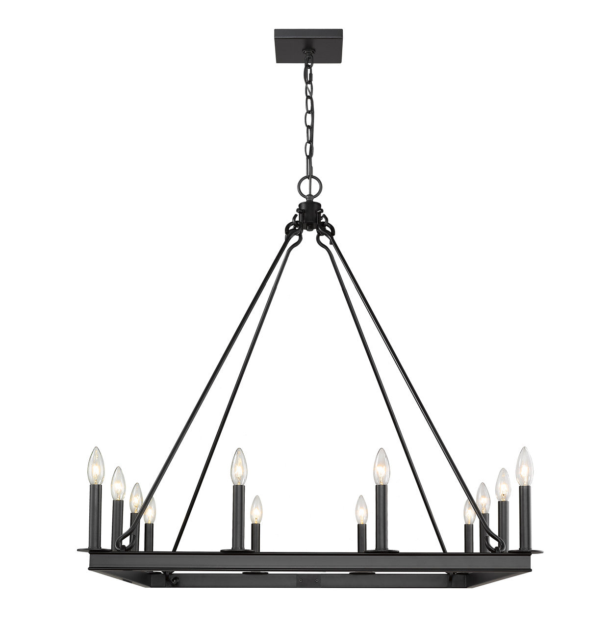 Z-Lite Barclay 12 Light Chandelier in Matte Black 482S-12MB