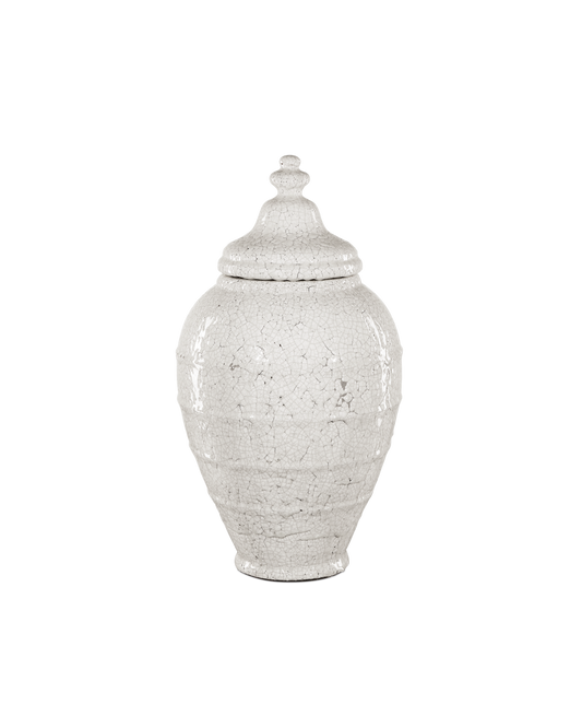 Currey & Co Virginal Medium Jar in Antique White 1200-0884