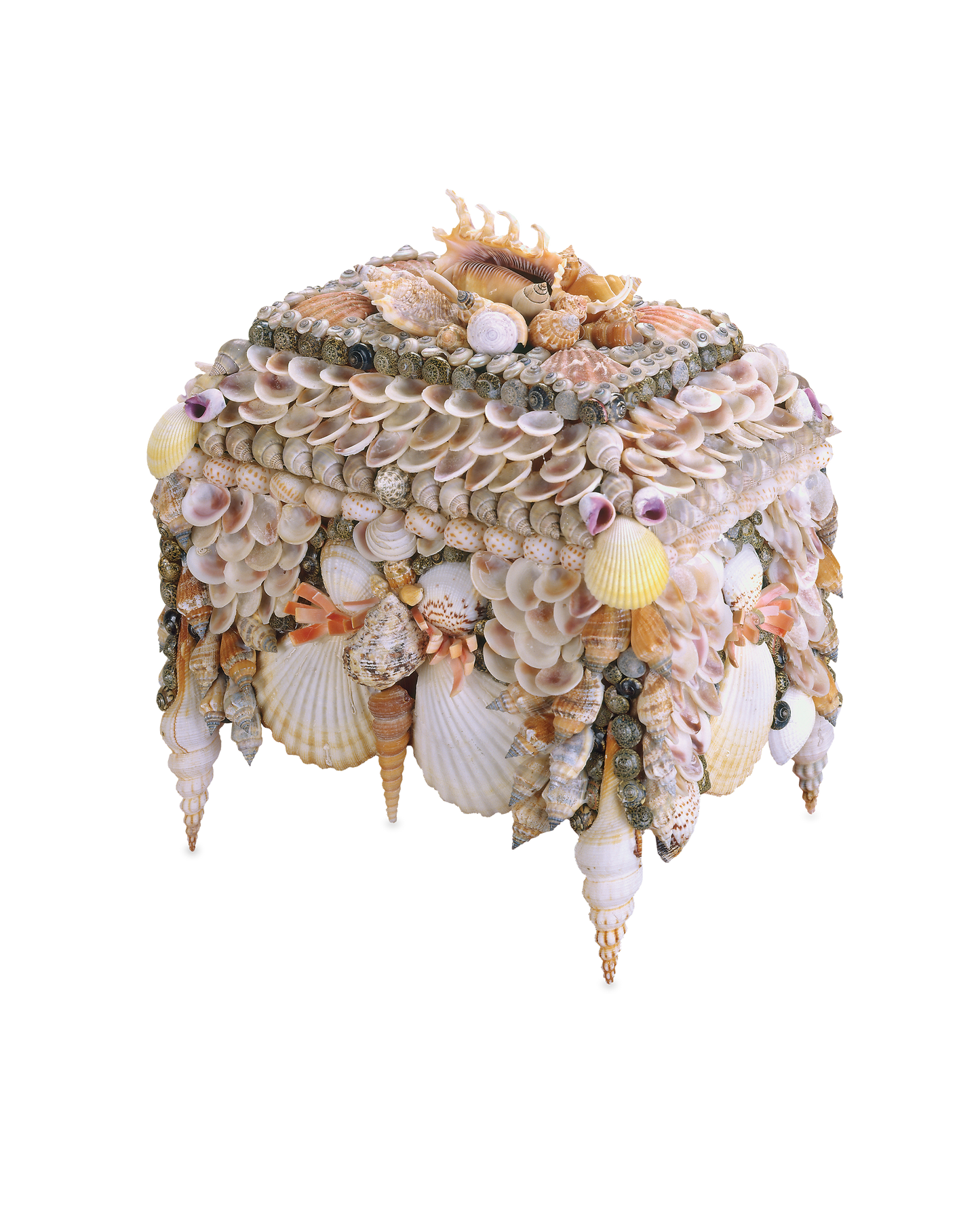 Currey & Co. Boardwalk Natural Shell Jewelry Box 1251