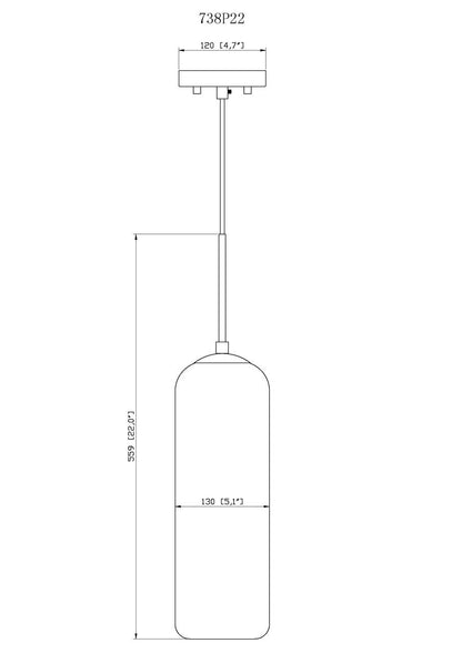 Z-Lite Monty 1 Light Pendant in Heritage Brass 738P22-HBR