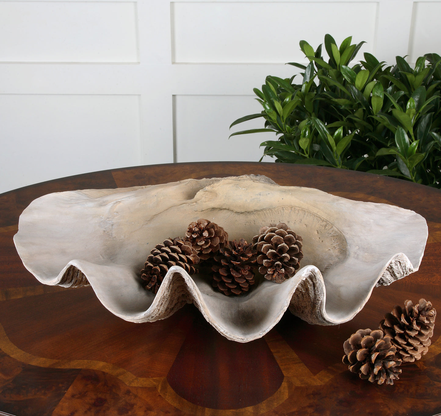 Uttermost Clam Shell Bowl 19800