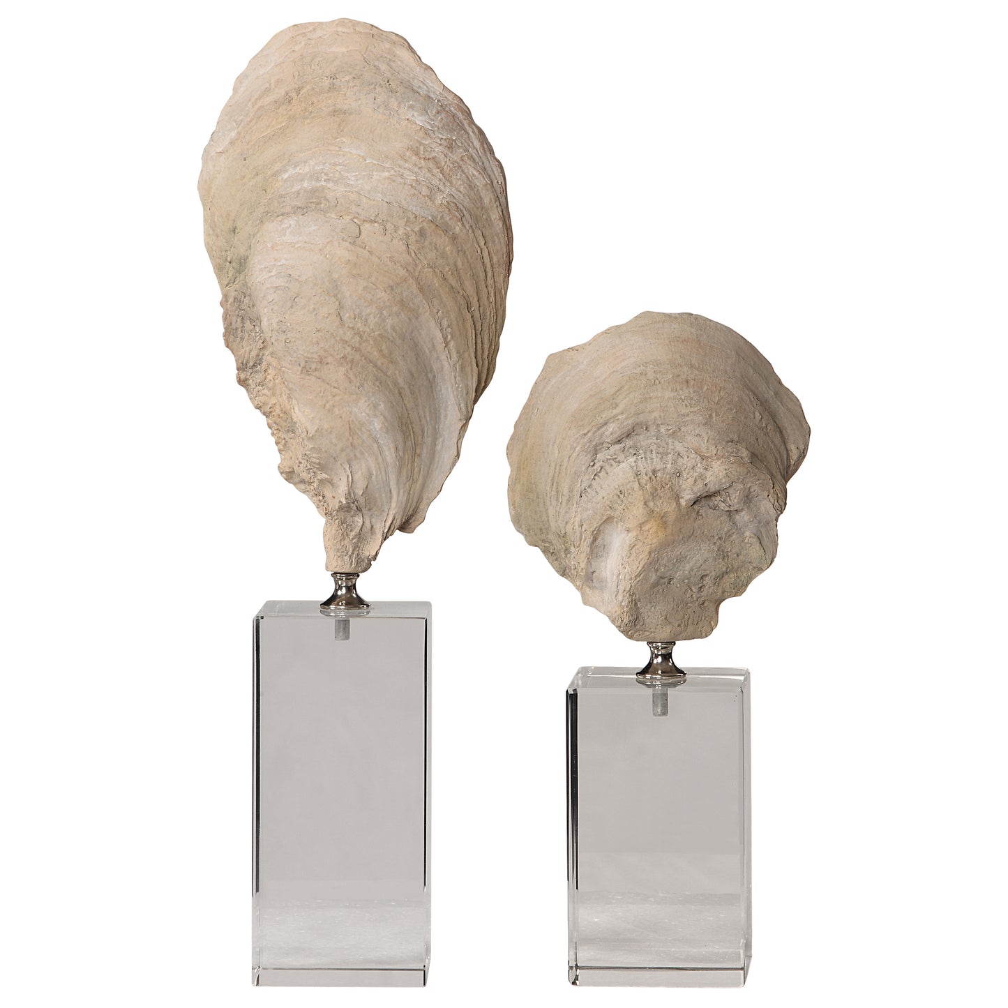 Uttermost Oyster Shell Sculptures, S/2 17523