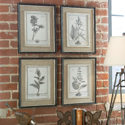 Uttermost Casual Grey Study Framed Art Set/4 32510