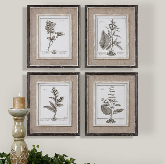 Uttermost Casual Grey Study Framed Art Set/4 32510