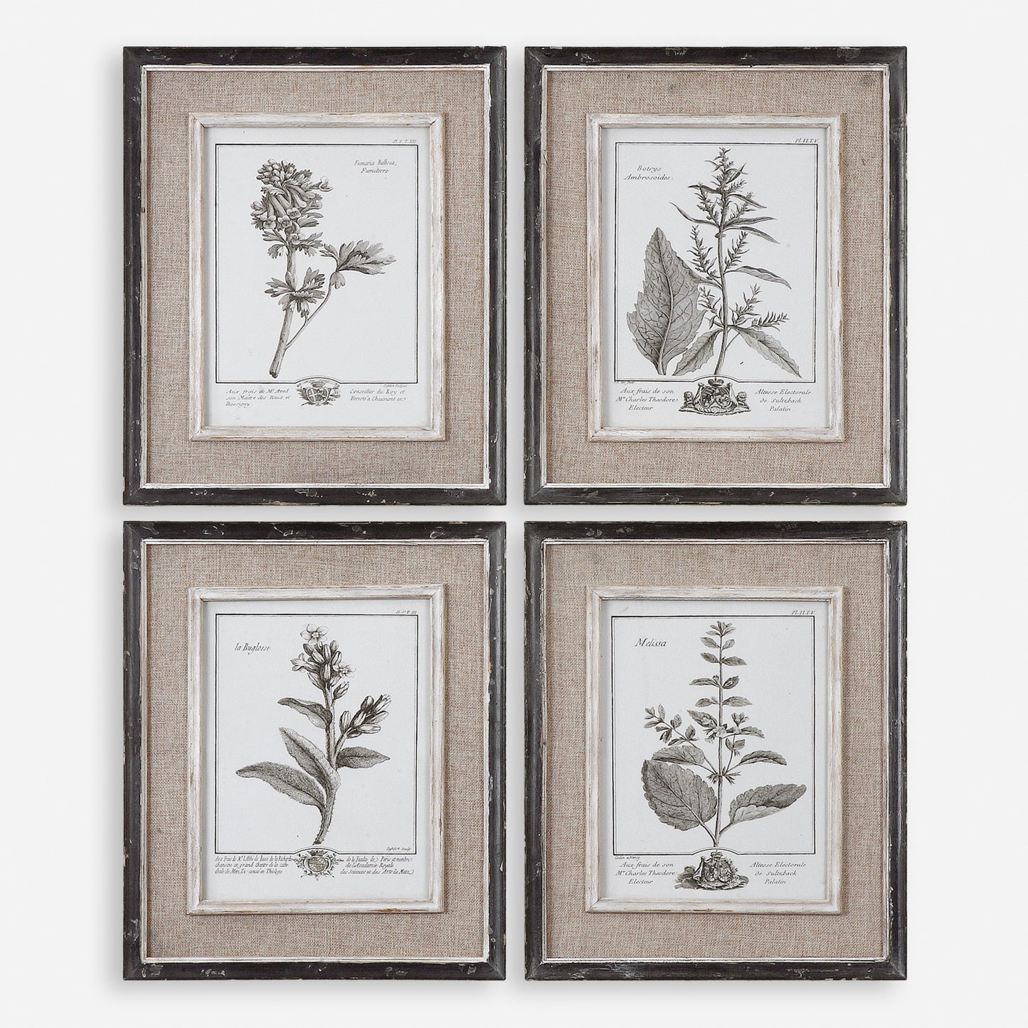 Uttermost Casual Grey Study Framed Art Set/4 32510