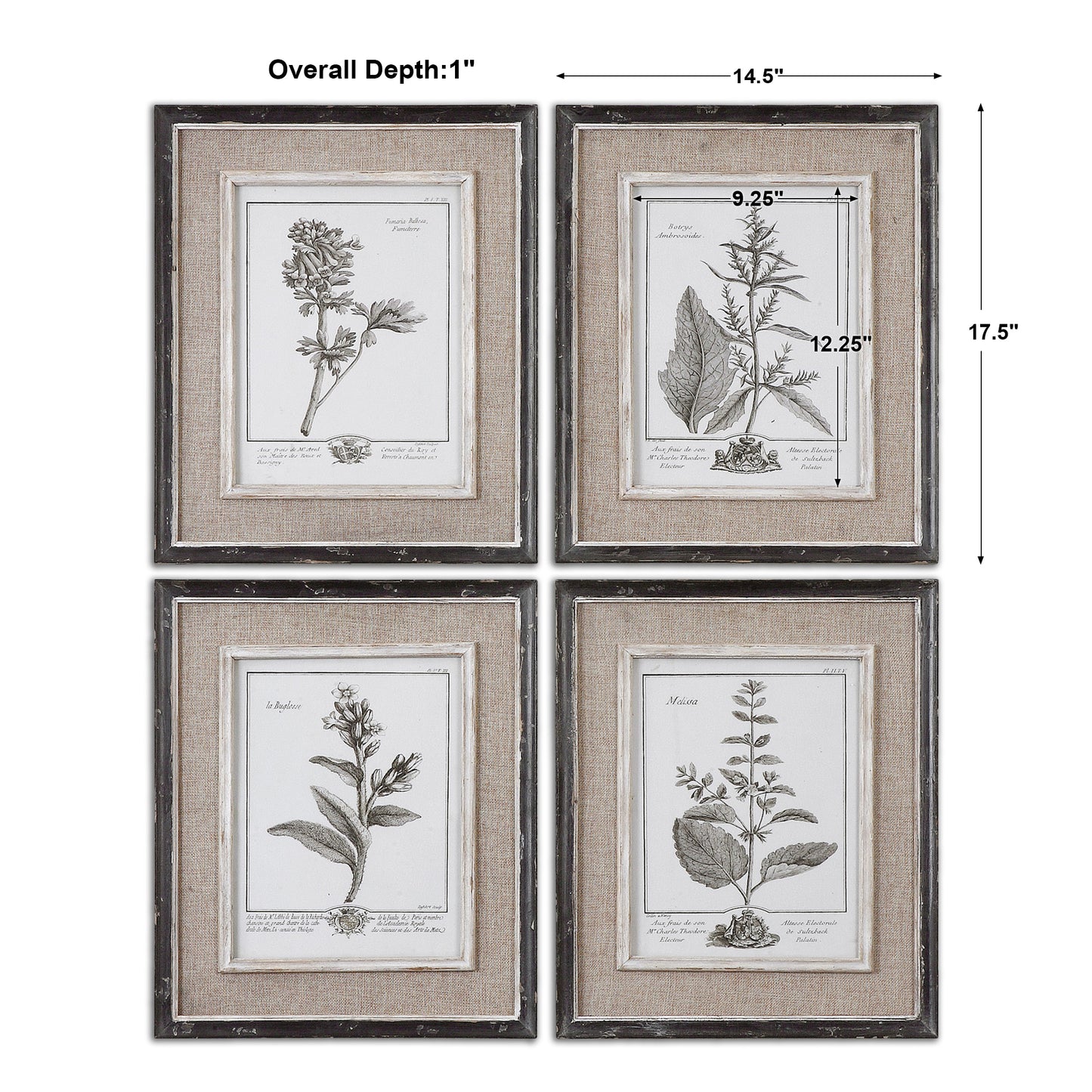 Uttermost Casual Grey Study Framed Art Set/4 32510