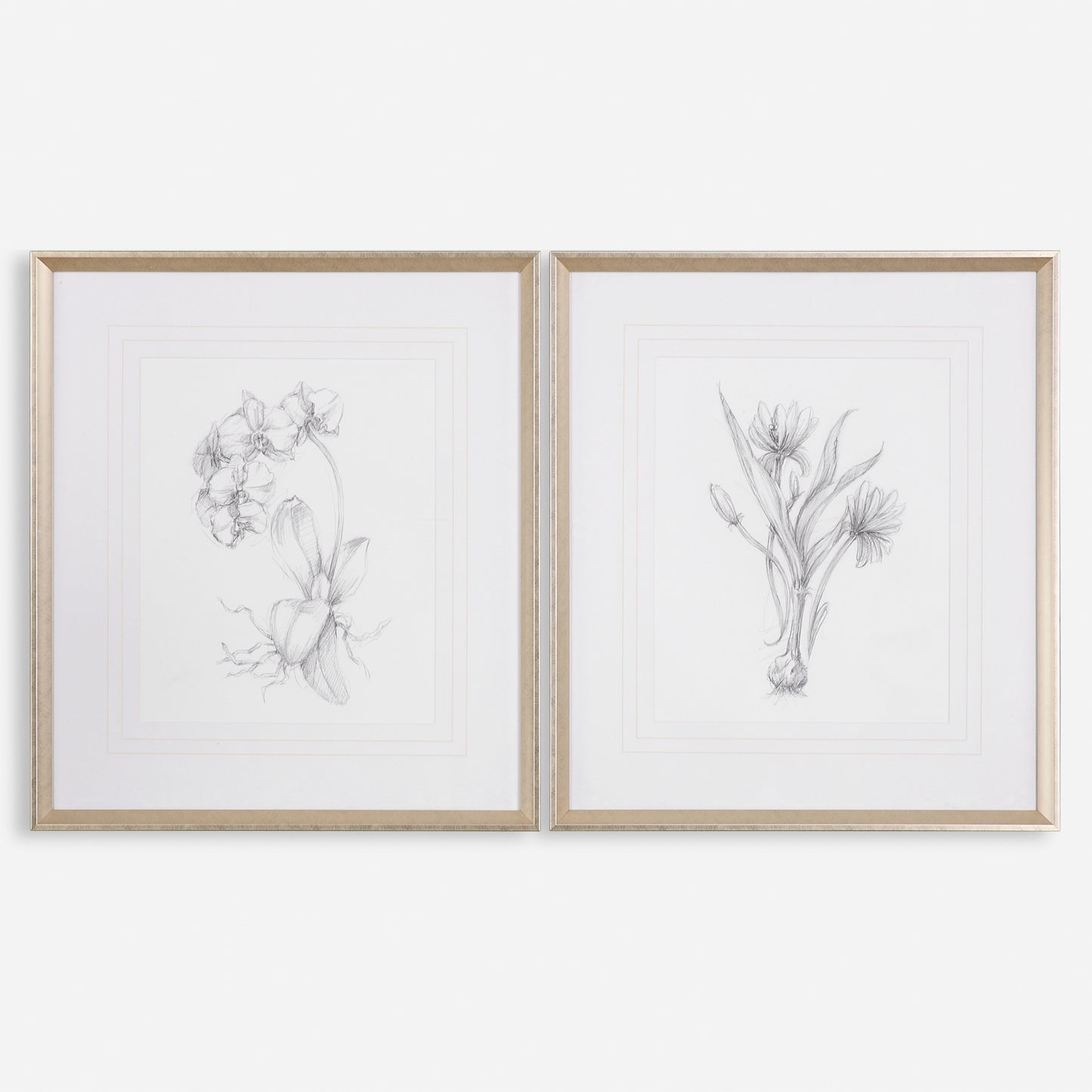 Uttermost Botanical Sketches Framed Prints S/2 33649