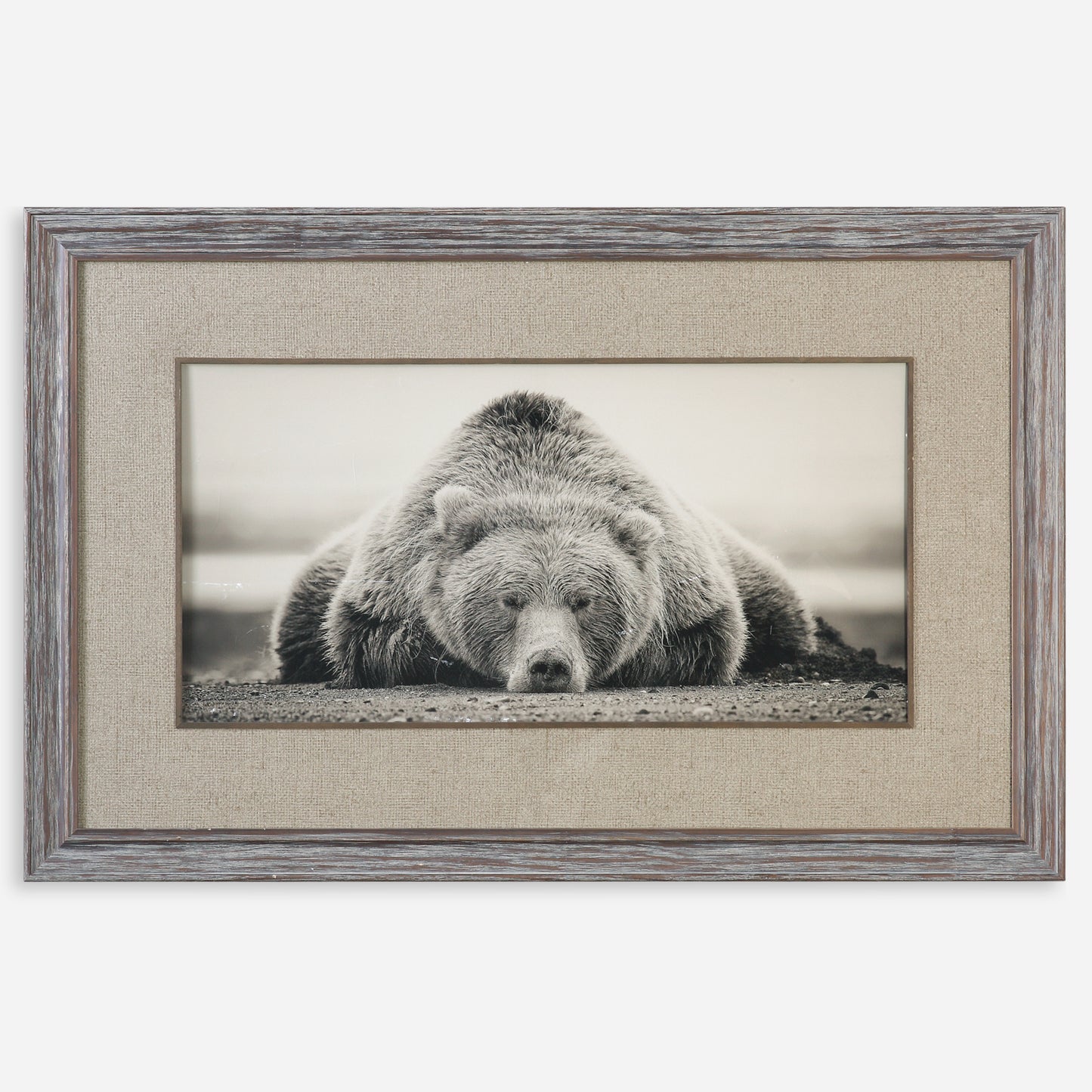 Uttermost Deep Sleep Bear Print 33661