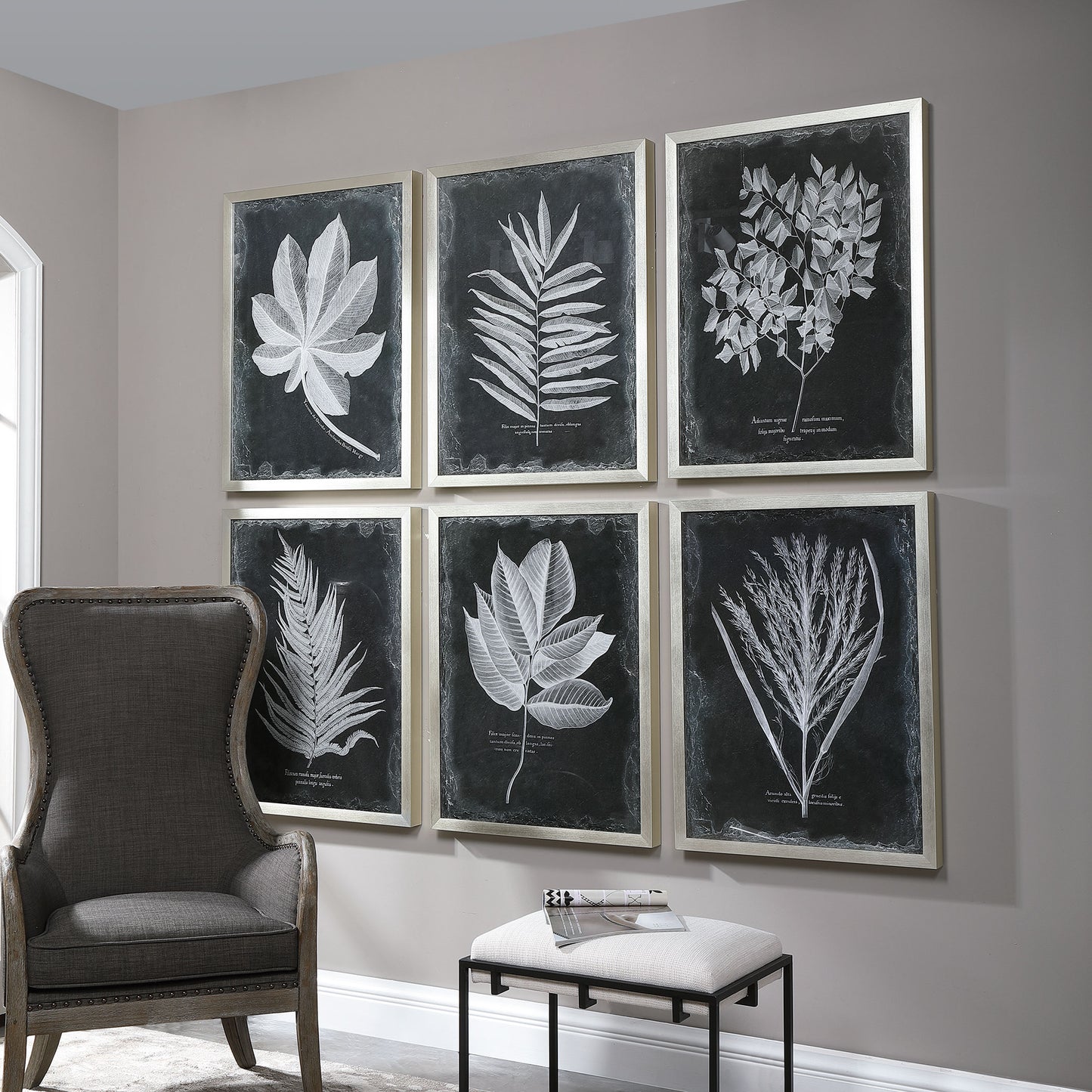 Uttermost Foliage Framed Prints, S/6 33671