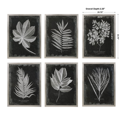 Uttermost Foliage Framed Prints, S/6 33671