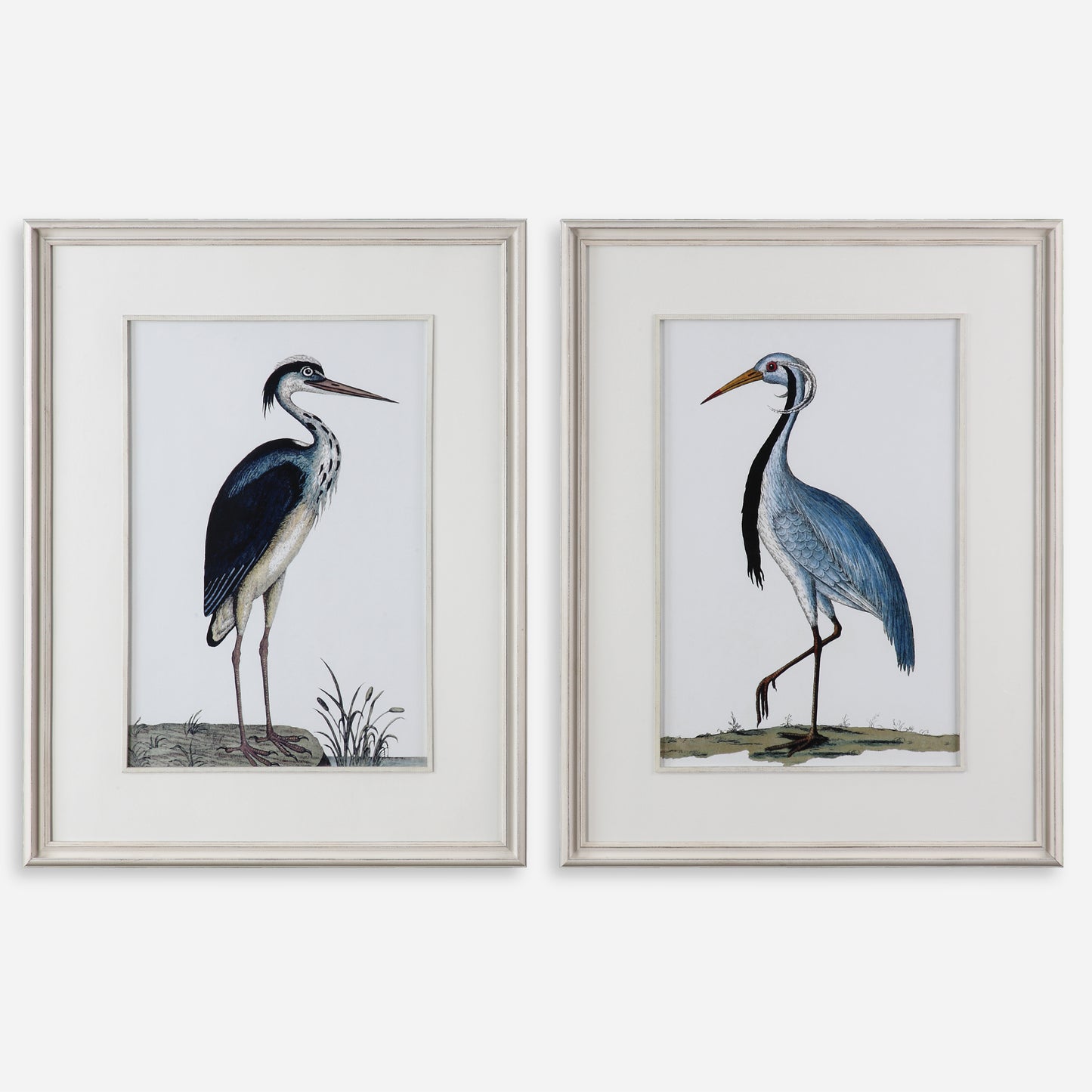 Uttermost Shore Birds Framed Prints S/2 33668