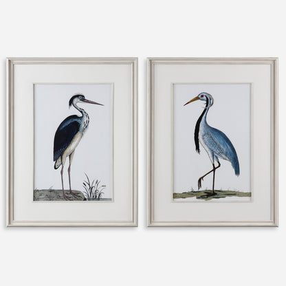 Uttermost Shore Birds Framed Prints S/2 33668