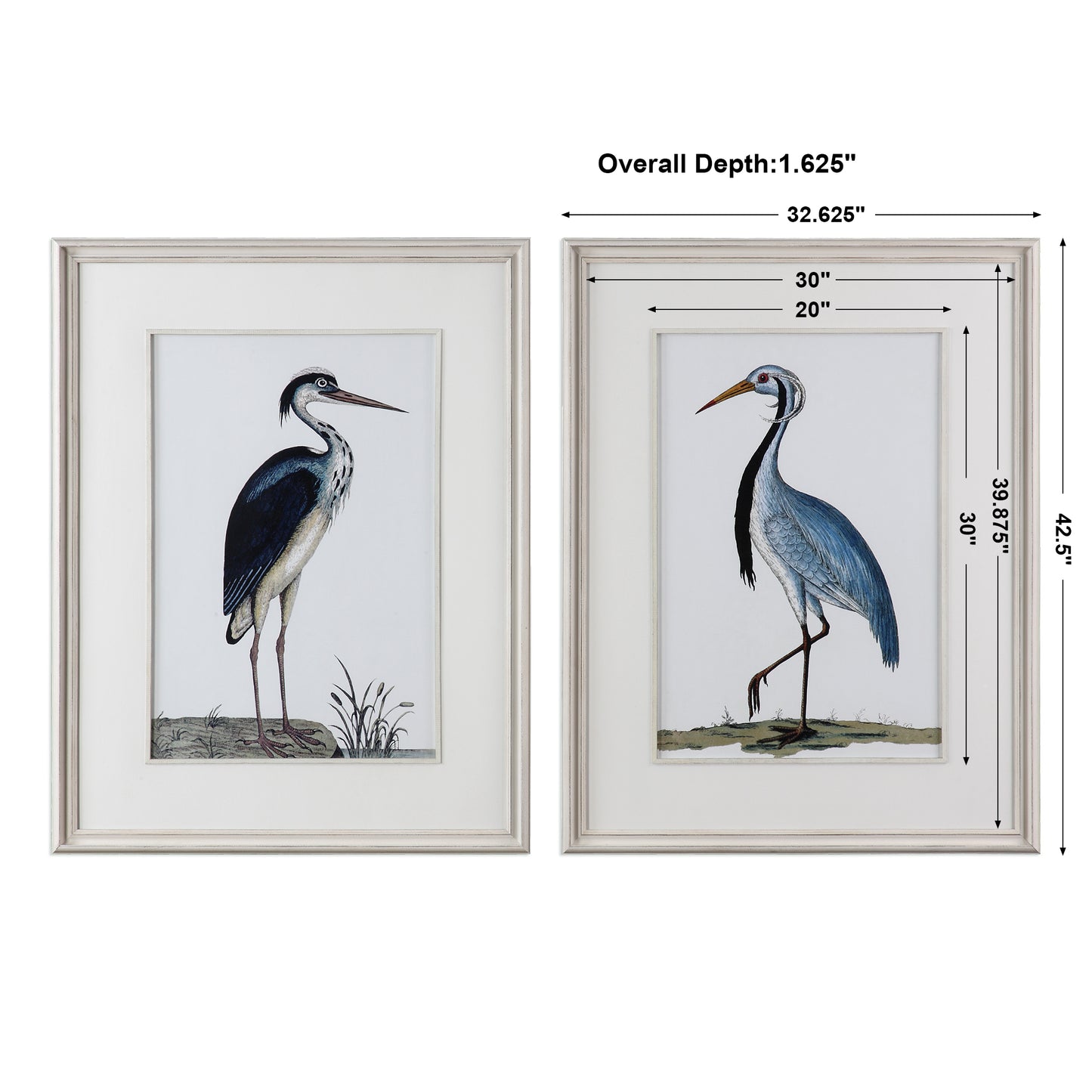 Uttermost Shore Birds Framed Prints S/2 33668