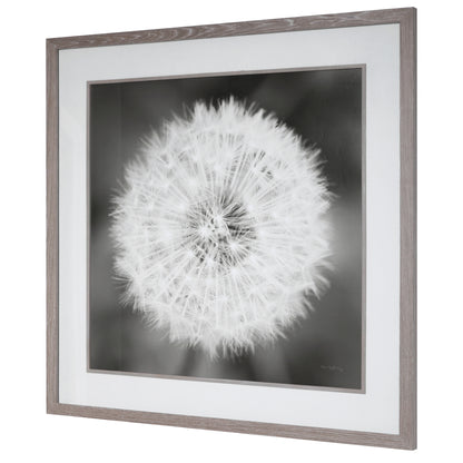 Uttermost Dandelion Seedhead Framed Print 33711