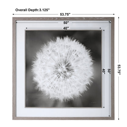 Uttermost Dandelion Seedhead Framed Print 33711