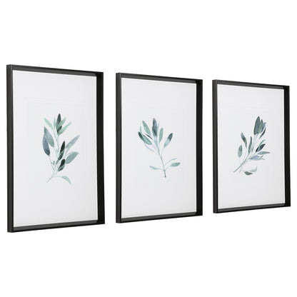 Uttermost Simple Sage Watercolor Prints, S/3 33723