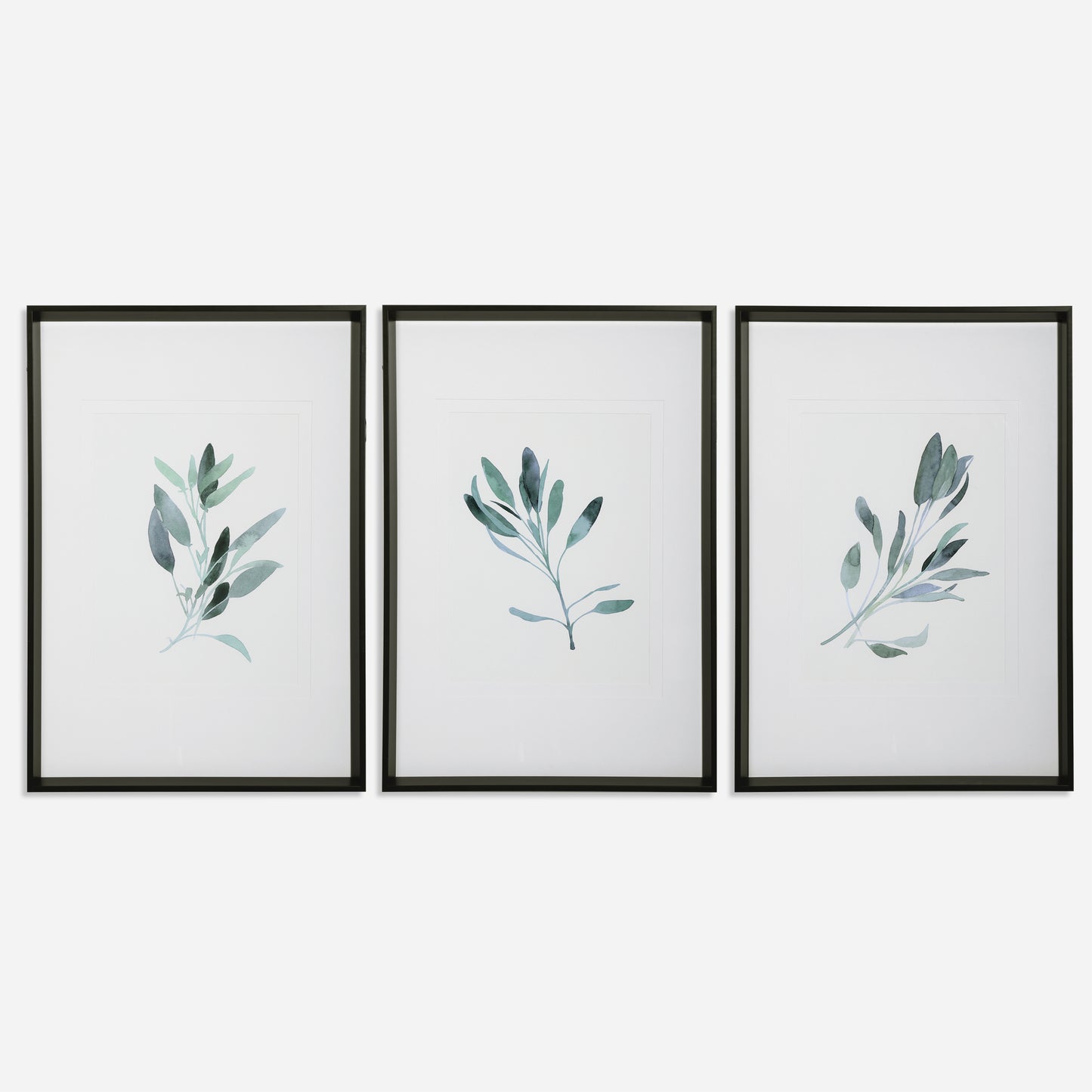 Uttermost Simple Sage Watercolor Prints, S/3 33723