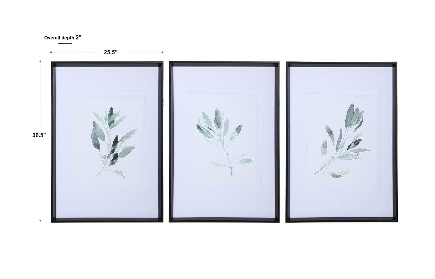 Uttermost Simple Sage Watercolor Prints, S/3 33723