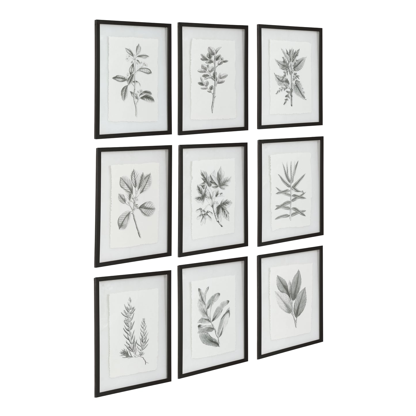 Uttermost Farmhouse Florals Framed Prints, S/9 41617