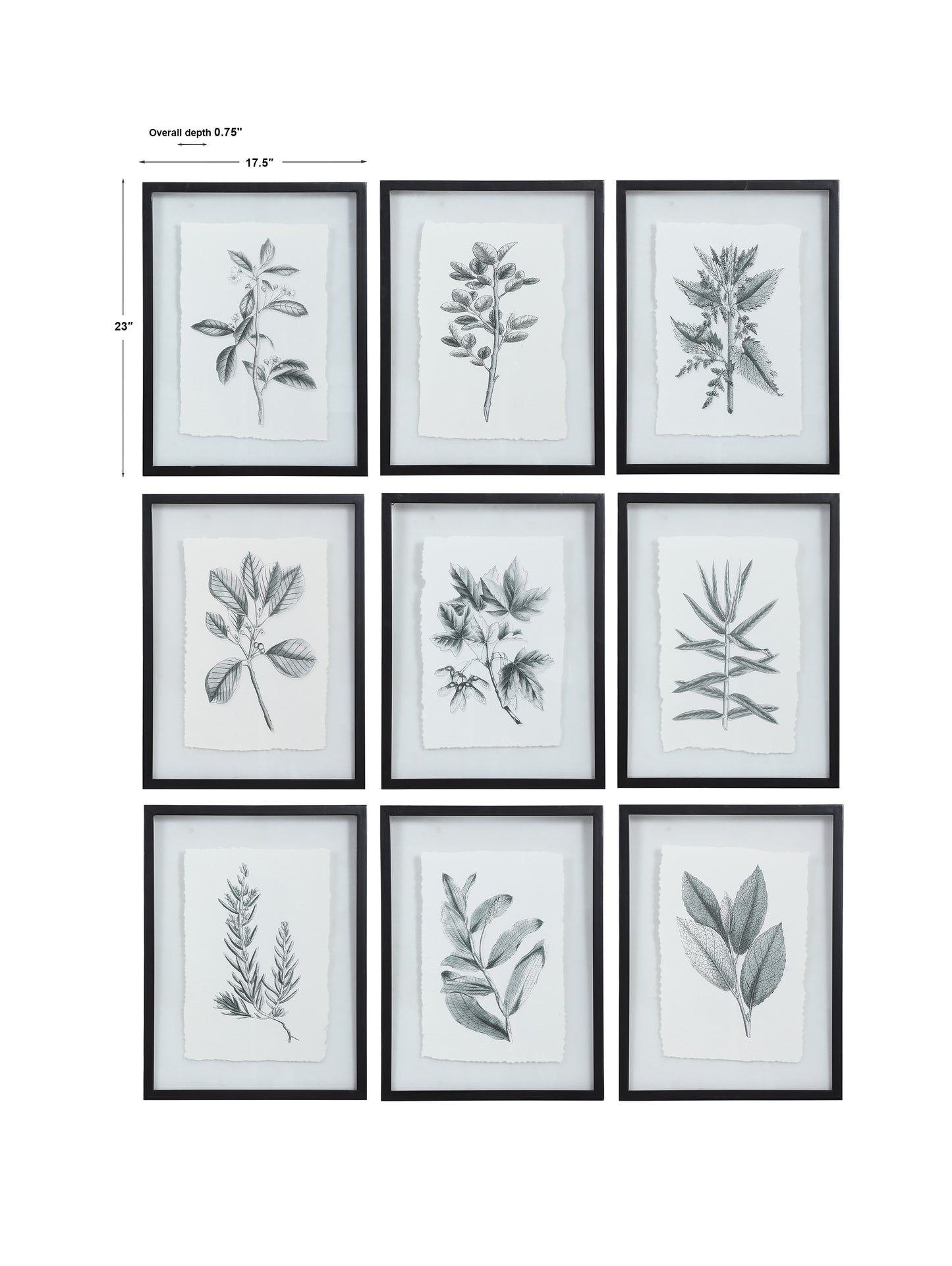 Uttermost Farmhouse Florals Framed Prints, S/9 41617