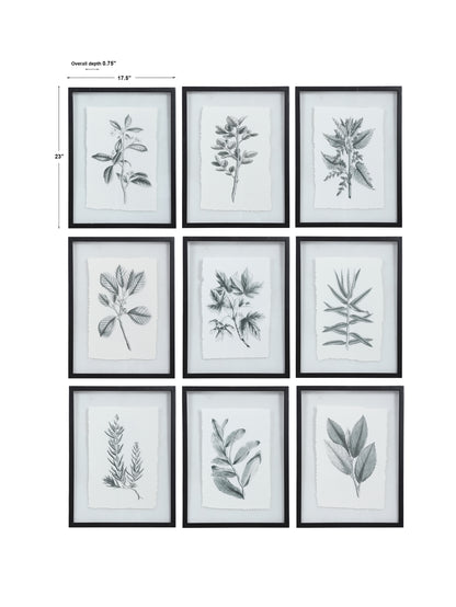 Uttermost Farmhouse Florals Framed Prints, S/9 41617