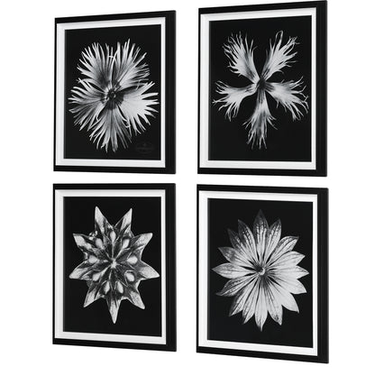 Uttermost Contemporary Floret Framed Prints, S/4 41427