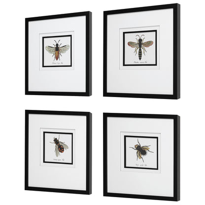 Uttermost Anthophila Framed Prints, S/4 41428