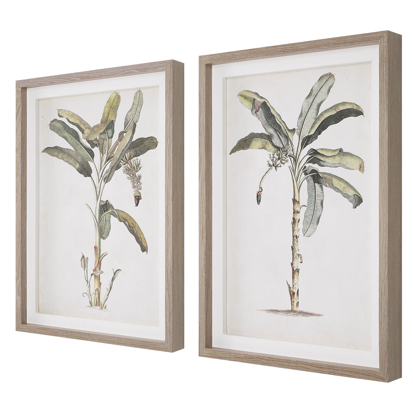 Uttermost Banana Palm Framed Prints, Set/2 41446