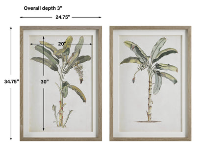 Uttermost Banana Palm Framed Prints, Set/2 41446