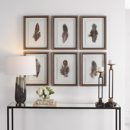 Uttermost Birds Of A Feather Framed Prints, S/6 41460