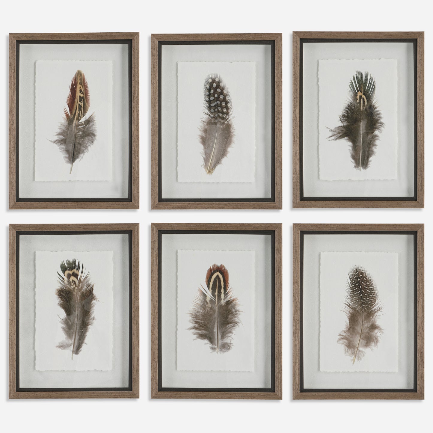 Uttermost Birds Of A Feather Framed Prints, S/6 41460