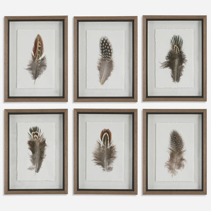 Uttermost Birds Of A Feather Framed Prints, S/6 41460