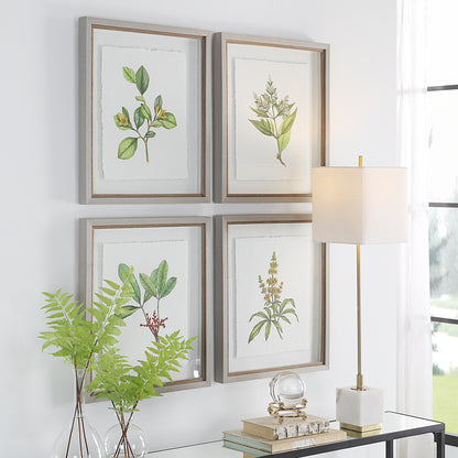 Uttermost Wildflower Study Framed Prints, S/4 41461