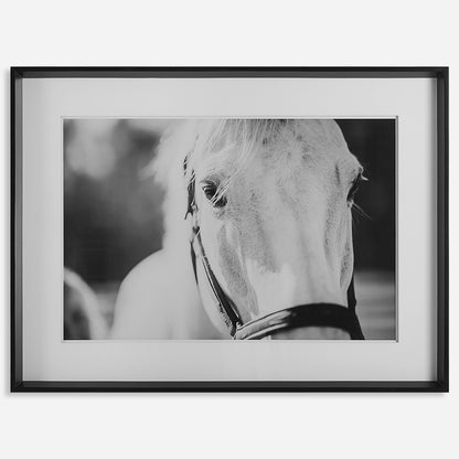 Uttermost Eyes On The Prize Framed Print 41464