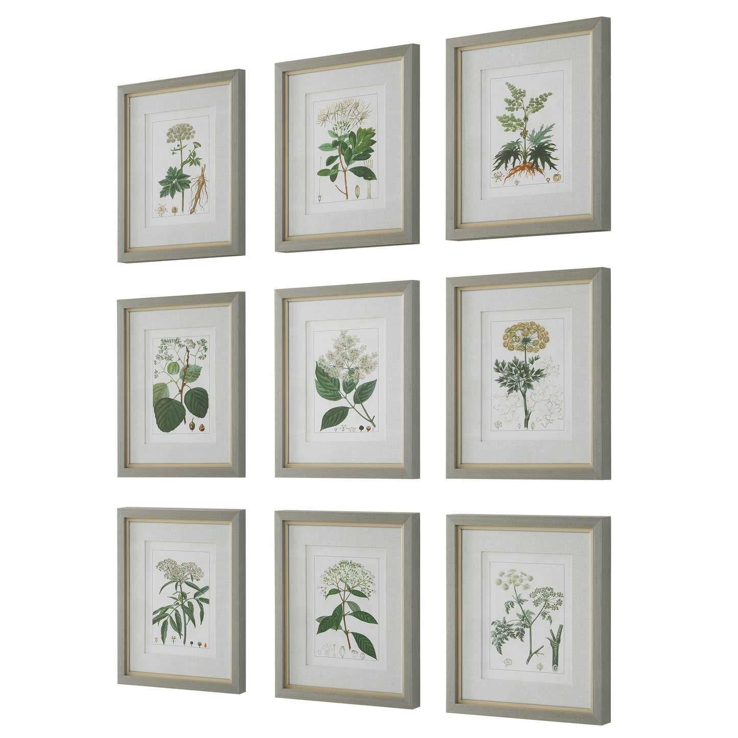 Uttermost Antique Botanicals Framed Prints, S/9 41466