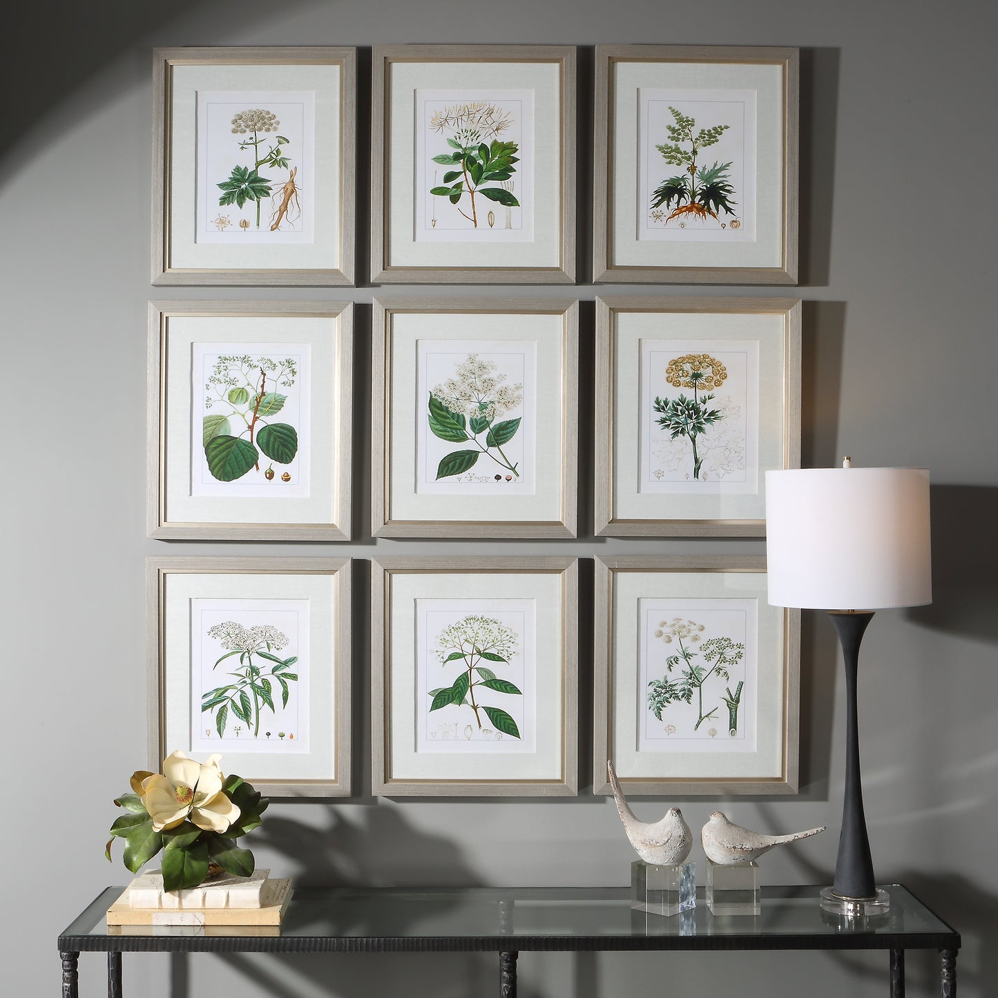 Uttermost Antique Botanicals Framed Prints, S/9 41466