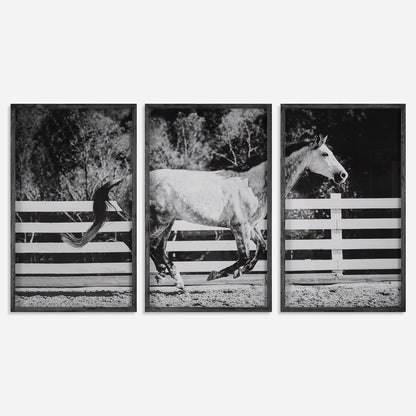 Uttermost Galloping Forward Equine Prints, Set/3 32279